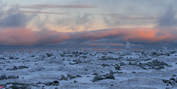Картинка Обзор природы